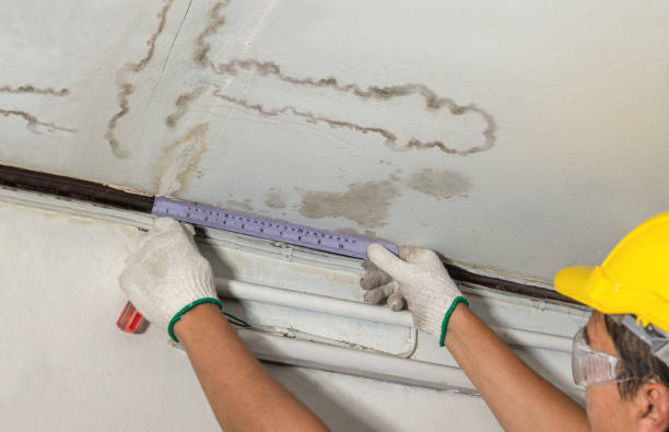 Reliable Flood Cleanup contractor in Elk, WA by Water Damage Irwin